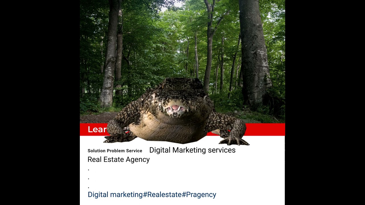 Digital Marketing services #seo #socialmediamarketing #b2bleads #realestate