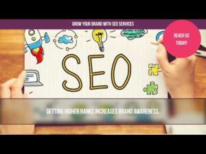 Search Engine Optimization