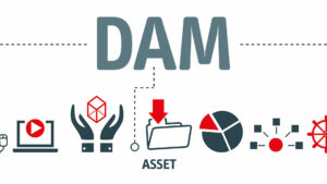 We're implementing DAM! Where do I start?